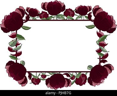 Floral rectangular frame of dark red peony flowers, buds and leaves with copy space. Romantic design, wedding announcements, greeting cards, posters,  Stock Vector