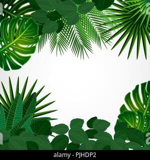 Tropical leaves. Floral design background. Stock Vector