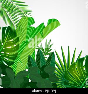 Tropical leaves border on isolate background. Vector illustration. Eps 10. Stock Vector