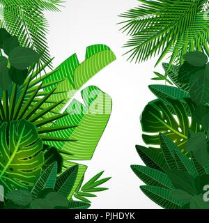 Tropical leaves border on isolate background. Vector illustration. Eps 10. Stock Vector