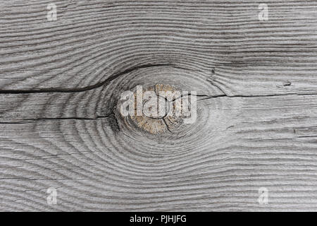 Background of gray wood Stock Photo