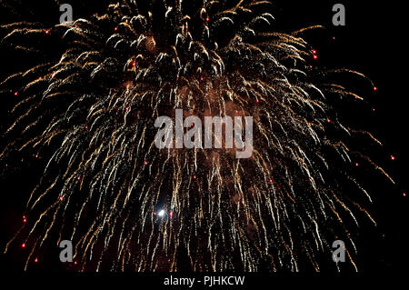 A colourful firework explodes in the dark night sky. Stock Photo