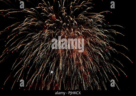 A colourful firework explodes in the dark night sky. Stock Photo