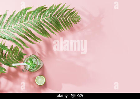 Single leaf of fern with shadow and tropical detox water on pastel pink background. Top view with copy space. Summer. Stock Photo