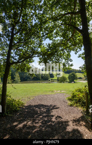 HIGH WOODS COUNTRY PARK, COLCHESTER, ESSEX. Stock Photo