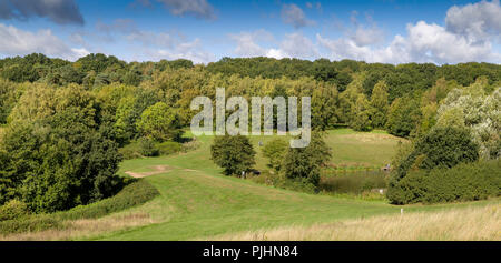 HIGH WOODS COUNTRY PARK, COLCHESTER, ESSEX. Stock Photo