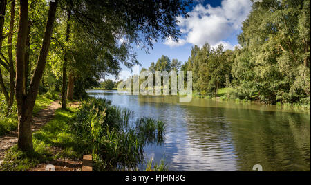 HIGH WOODS COUNTRY PARK, COLCHESTER, ESSEX. Stock Photo