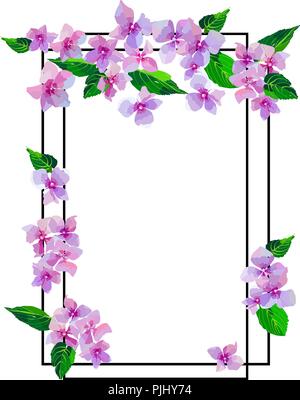 Garden Pink Hydrangea flowers. Botanical illustration in hand drawn style. Lilac Flowers isolated. Vector floral design for cosmetics, perfume product Stock Vector