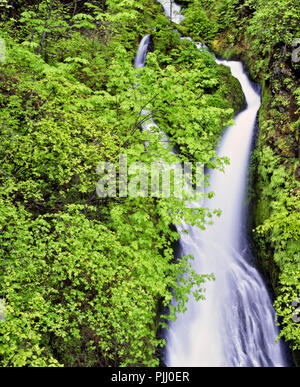 Wahkeena Creek rushes over the aptly named Necktie Falls in Oregon’s Columbia River Gorge National Scenic Area. Stock Photo