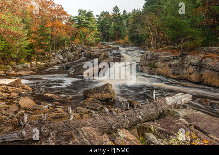 In autumn, a view of lower Rosseau Falls as the water streams down between the forest and the rocks of the canadian shield. Stock Photo
