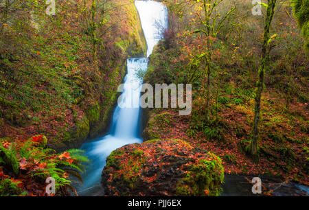 Bridal Veil Falls, in the Columbia River Gorge dressed in autumn leaves. Stock Photo