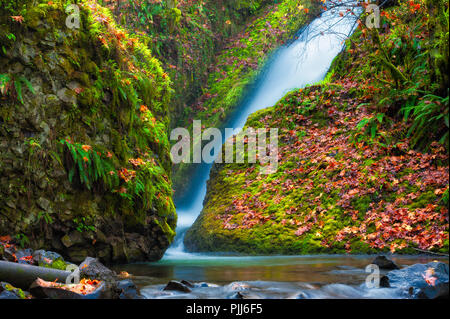 Autumn Leaves adds color to the base of  Bridal Veil Falls in the Columbia River Gorge Stock Photo