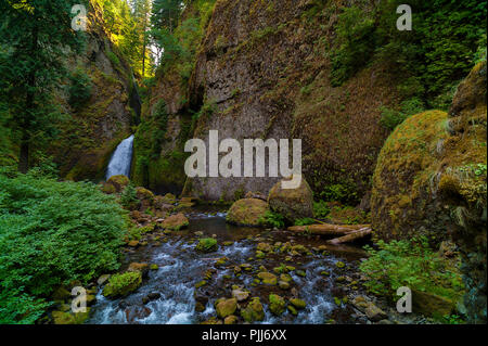 Hiking along Tanner Creek to wahclella Falls in the Columbia River Gorge. Stock Photo