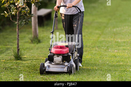 Lawnmower in action at backyard Stock Photo