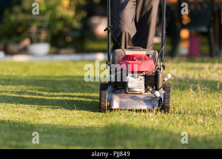 Lawnmower in action at backyard Stock Photo