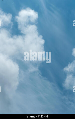 white fluffy clouds float across the blue sky Stock Photo