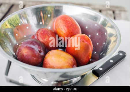 Two honey punch pluot fruits sit on a wooden chopping board Stock Photo