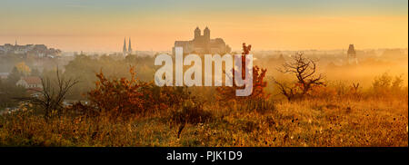 Panorama of Quedlinburg at sunrise in autumn, Burgberg with Collegiate Church St. Servatius, UNESCO World Heritage, Quedlinburg, Saxony-Anhalt, Germany Stock Photo