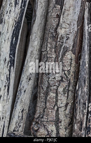 Background of driftwood Stock Photo