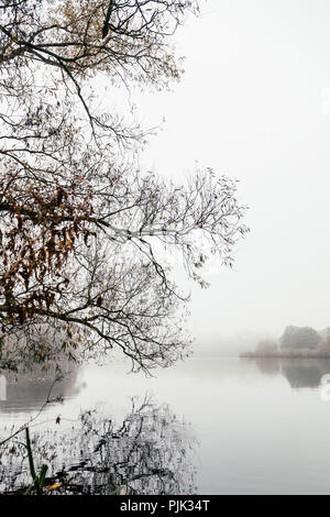 A hike around the Obersee in Bielefeld (Schildesche) on a foggy and gray day in October,