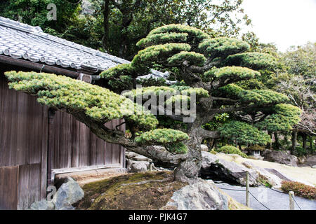 Sengan-en garden of Kagoshima in Japan Stock Photo