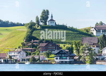 View from a paddle steamer on Lake Lucerne, Canton Lucerne, Switzerland Stock Photo