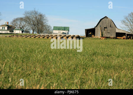 Hay bales on farm in rural Virginia