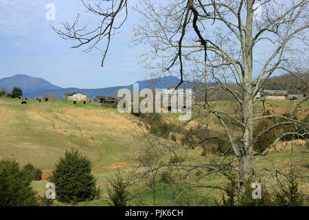 Cattle farm in Virginia's Blue Ridge Mountains, USA Stock Photo - Alamy