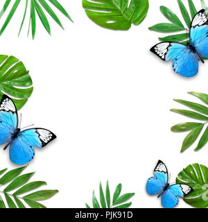 Creative layout of foliage on a white background with space for text. Frame of leaves and butterfly. Floral background. View from above. Stock Photo
