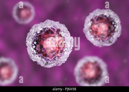 Stem cells, illustration Stock Photo - Alamy