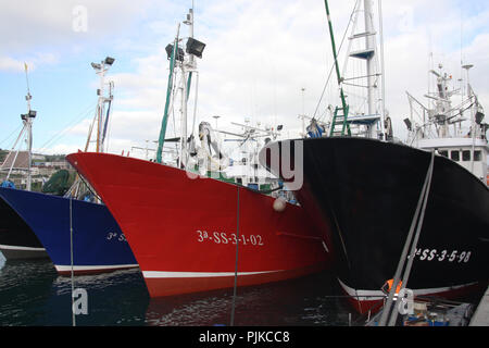 MSC-certified Albacore tuna troll and Pole & line fishing fleet in