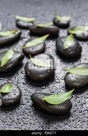 Several black basalt massage stones with green leaves on them, covered with water drops, distributed on a black background Stock Photo