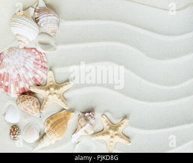 Beautiful frame of clams and starfishes on the background of wavy sea sand Stock Photo