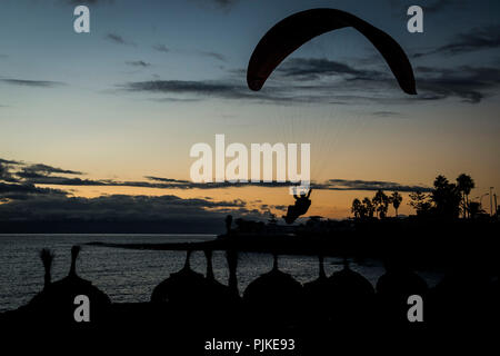 Paraglider, dusk, landing at the beach bar, west coast of Tenerife at La Caleta, volcanic island, aerial view, Canary Islands, Spain Stock Photo
