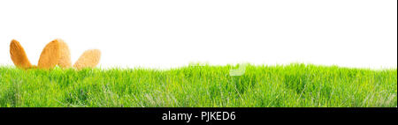 Greeting card Happy Easter, easter bunny hiding in the grass Stock Photo