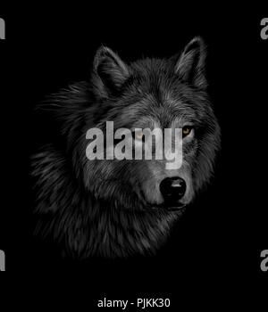 Portrait of a wolf head on a black background Stock Vector