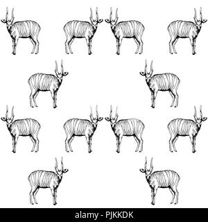Seamless pattern of hand drawn sketch style bongo antelopes isolated on white background. Vector illustration. Stock Vector