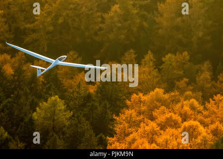 Duo Discus D-5443 from the LSC Oeventrop eV over the autumn woods of Oeventrop, glider double seater from Schempp-Hirth, Arnsberg, Ruhr area, North Rhine-Westphalia, Germany Stock Photo