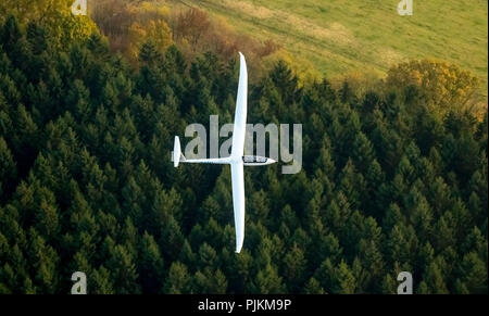 Duo Discus D-5443 from the LSC Oeventrop eV over the autumn woods of Oeventrop, glider double seater from Schempp-Hirth, Arnsberg, Ruhr area, North Rhine-Westphalia, Germany Stock Photo