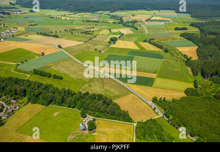 Meadows and pastures east of Hirschberg, Hirschberg, Warstein, Sauerland, North Rhine-Westphalia, Germany Stock Photo