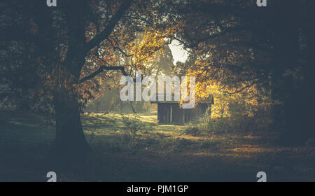 A wooden hut stands in a clearing and is illuminated by the sun, Stock Photo