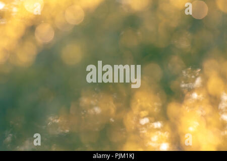 A bokeh of glittering foliage in the back light, Stock Photo