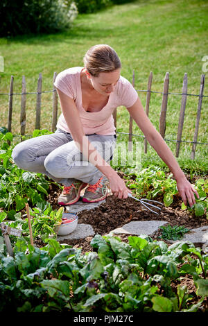 Young woman in the vegetable garden Stock Photo