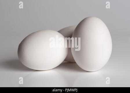 White eggs. Three white eggs isolated on white reflective surface Stock Photo