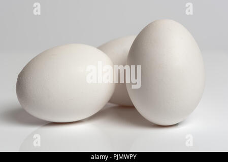 White eggs. Three white eggs isolated on white reflective surface Stock Photo
