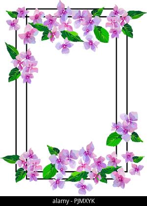 Garden Pink Hydrangea flowers. Botanical illustration in hand drawn style. Lilac Flowers isolated. Vector floral design for cosmetics, perfume product Stock Vector