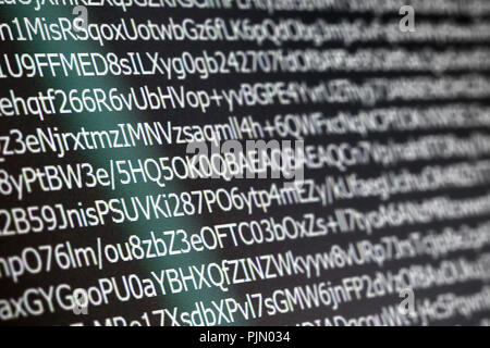 Close up macro shot selective focus of computer encoding screen. Stock Photo