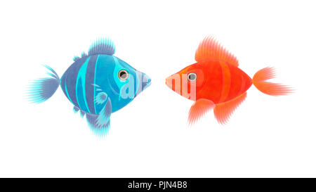 A blue one and a red fish before white background, Ein blauer und ein roter Fisch vor weissem Hintergrund Stock Photo