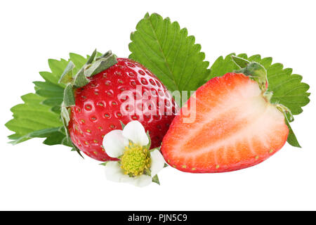 Strawberry strawberries berry berries fruit fruits leaves isolated on a white background Stock Photo