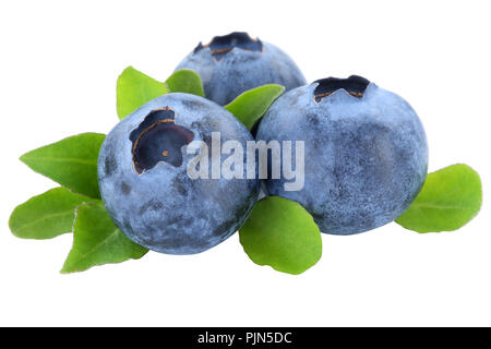 Blueberry blueberries berry berries fruit fruits leaves isolated on a white background Stock Photo